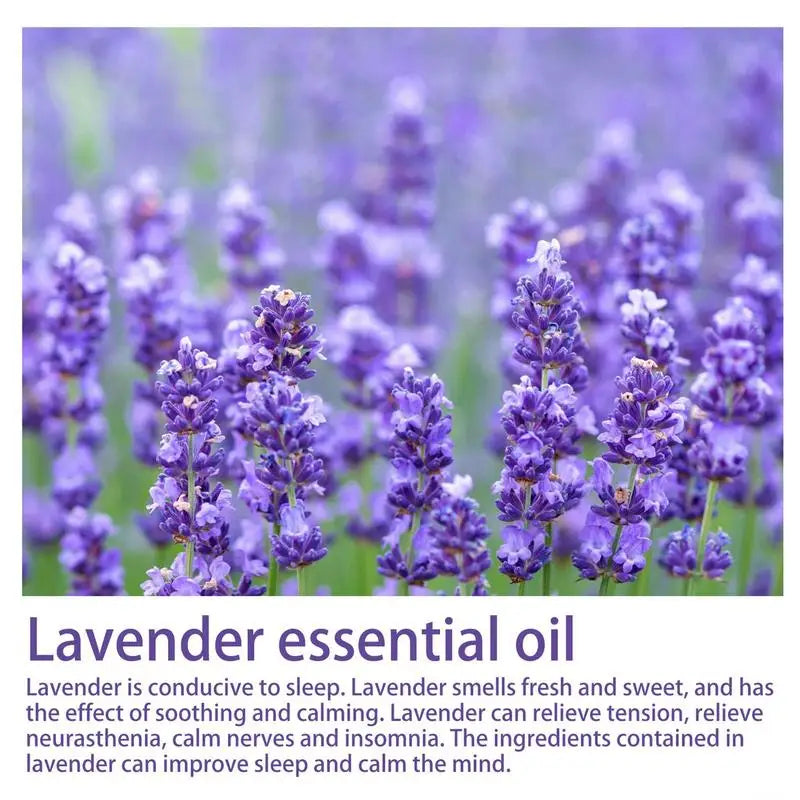 Lavender Sleep Spray 30Ml Lavender Pillow Mist Sleep Spray Sleep Spray Helps You Get the Sleep You Need and Wake up Feeling