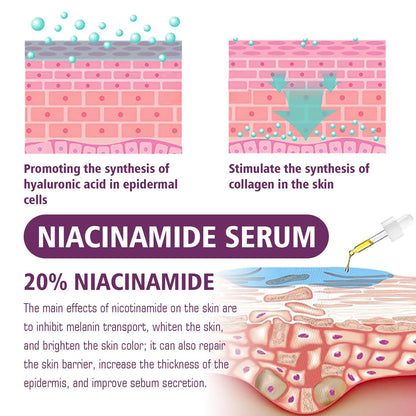 20% Niacinamide B3 Concentrated Anti-Aging for Discoloration and Minimizing Large Pores Fragrance Free and Paraben Free 20Ml